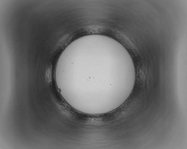 X0000112410694200909041356