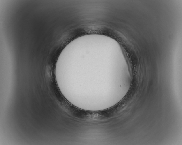 X0000112410695200909041356