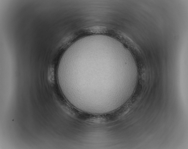 X0000112410696200909041356