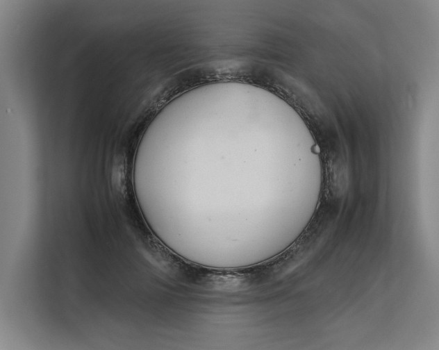 X0000112410698200909041356