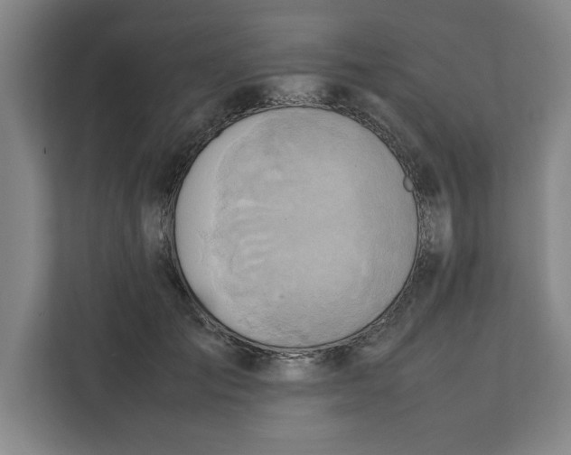 X0000112410701200909041356