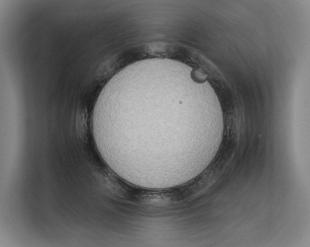 X0000112410702200909041356