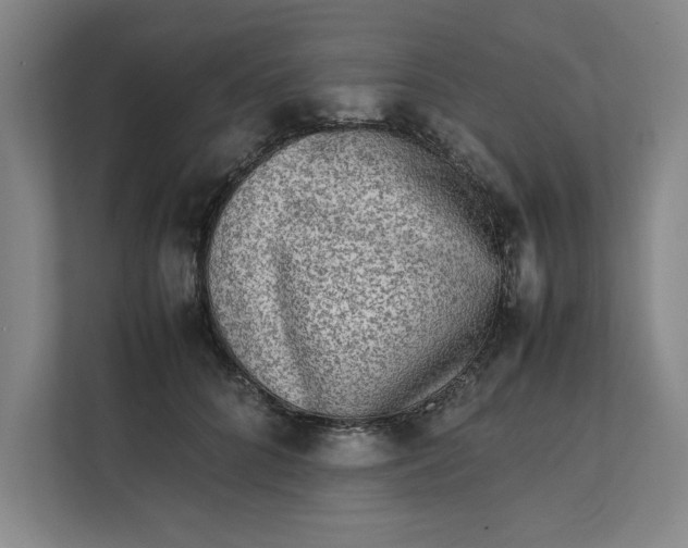 X0000112410704200909041356