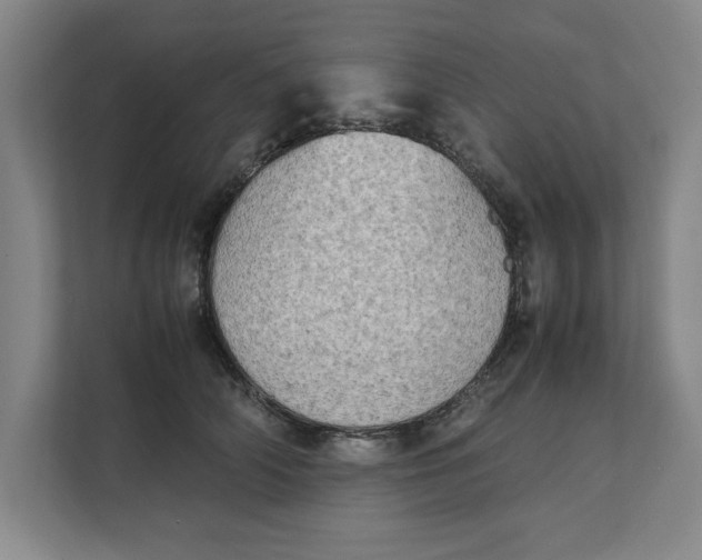 X0000112410706200909041356