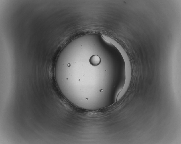 X0000112410708200909041356