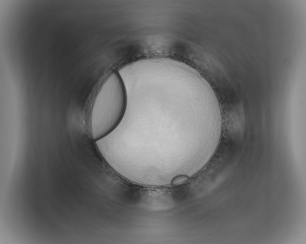 X0000112410709200909041356