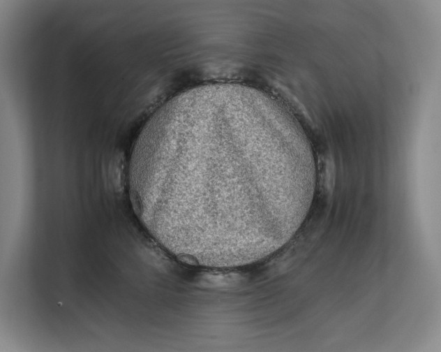 X0000112410712200909041356