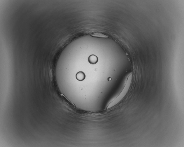 X0000112410716200909041356