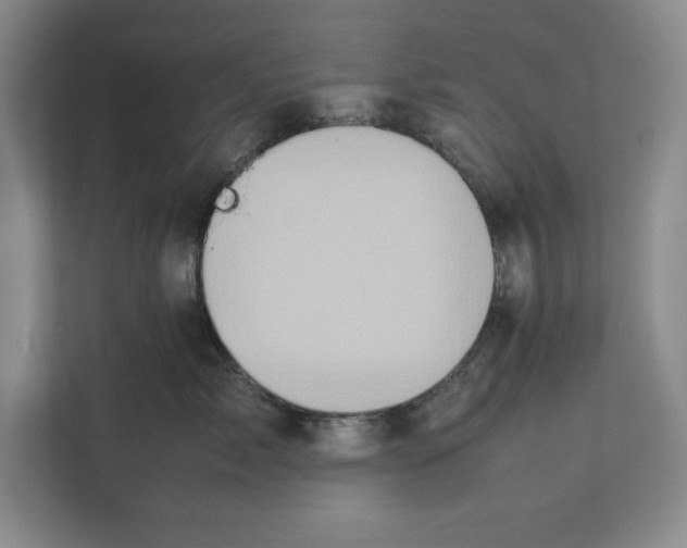 X0000112410717200909041356