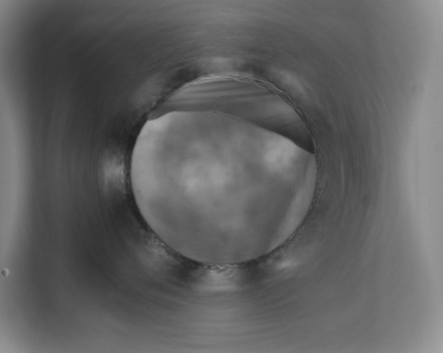 X0000112410720200909041356