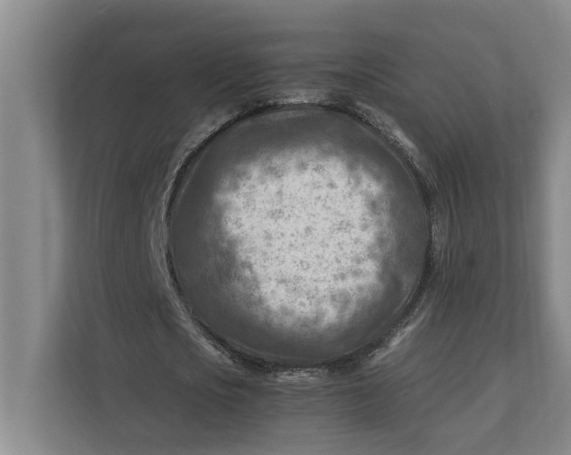 X0000112410721200909041355