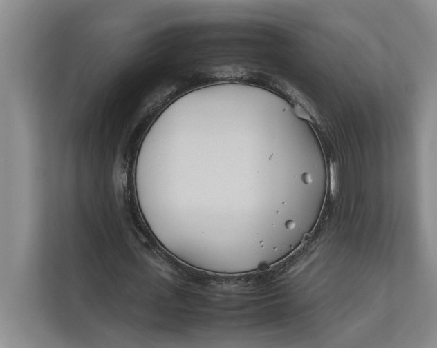 X0000112410723200909041355