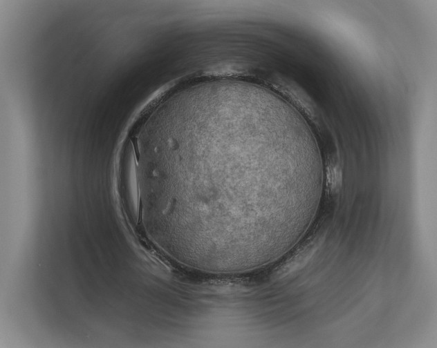 X0000112410724200909041355