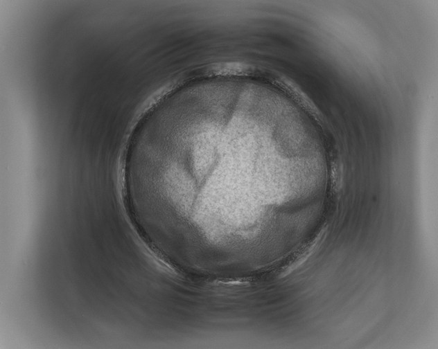 X0000112410725200909041355