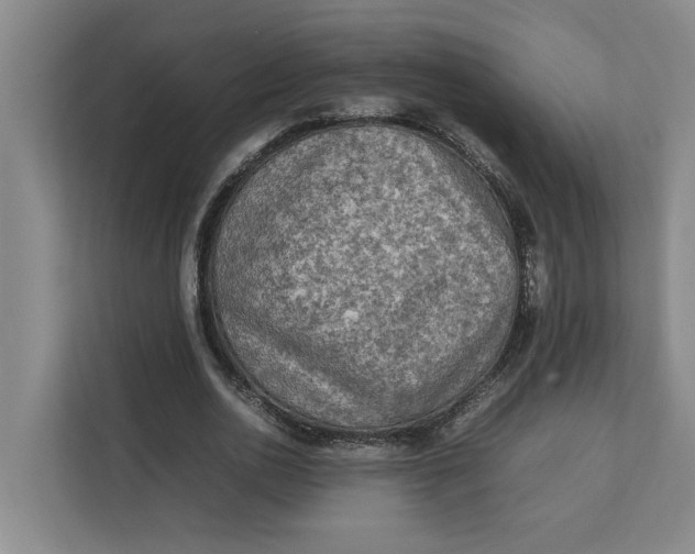 X0000112410726200909041355