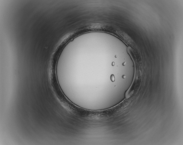 X0000112410728200909041356