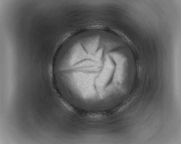 X0000112410729200909041356