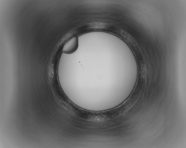 X0000112410731200909041356