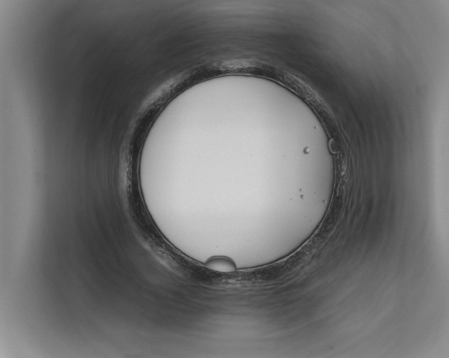 X0000112410732200909041356