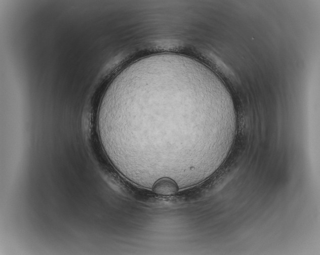 X0000112410736200909041356