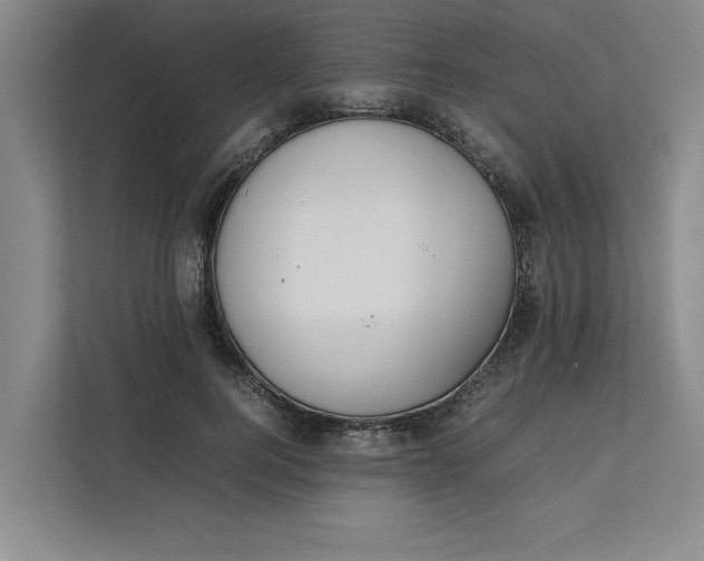 X0000112410744200909041356