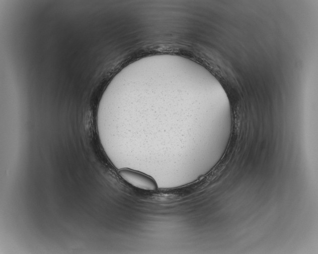 X0000112410748200909041356