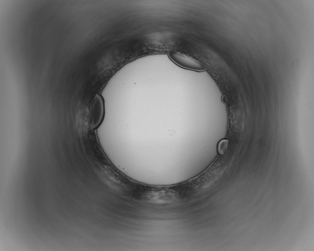 X0000112410752200909041356