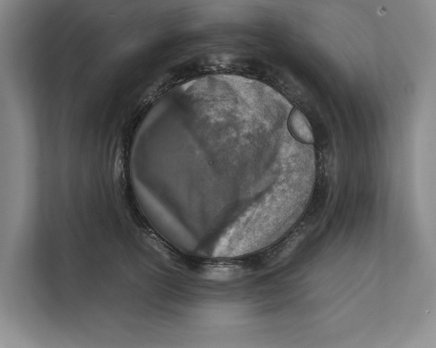 X0000112410754200909041356