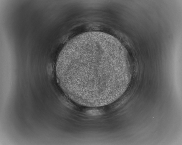 X0000112410759200909041356