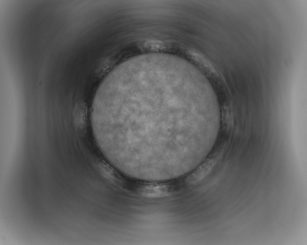 X0000112410760200909041356