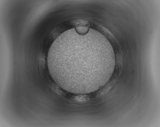 X0000112410761200909041356