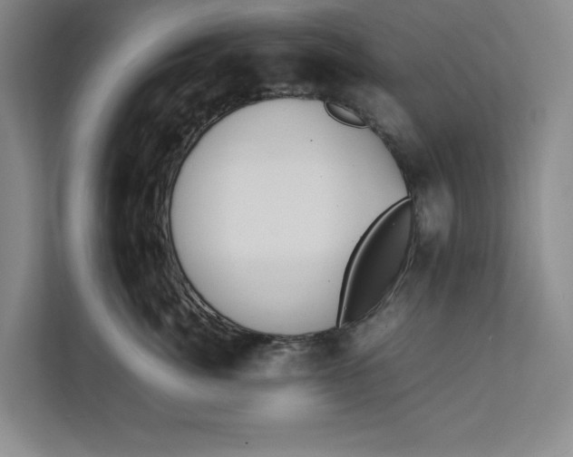 X0000112410764200909041356