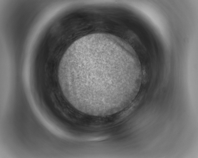 X0000112410765200909041356