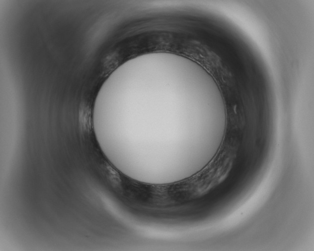 X0000112410766200909041356