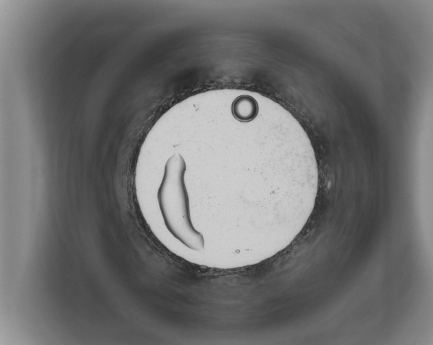 X0000112410769200909041355