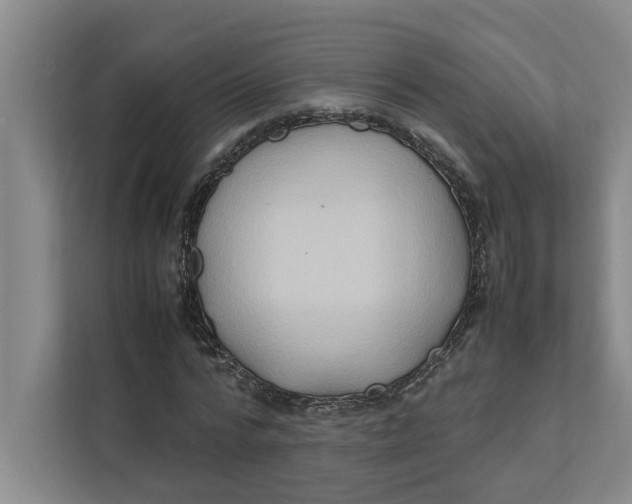 X0000112410776200909041355