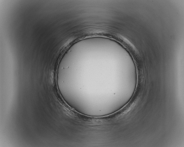 X0000112410777200909041355