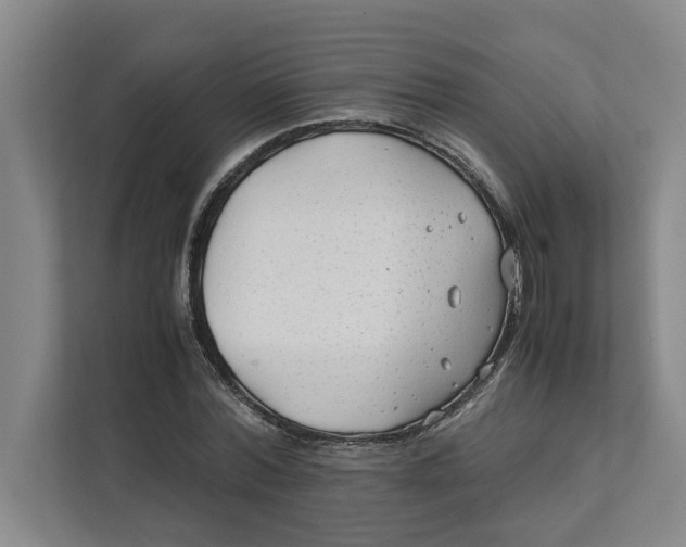 X0000112410780200909041355