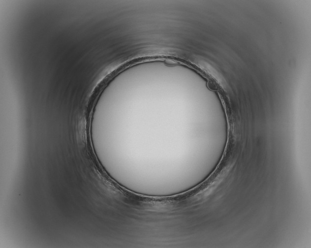 X0000112410781200909041355