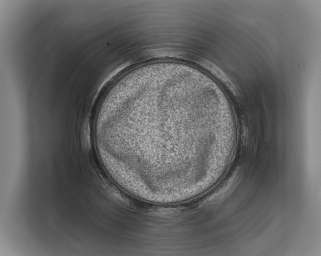 X0000112410782200909041355