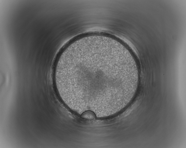 X0000112410783200909041355