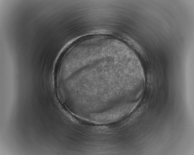 X0000112410784200909041355