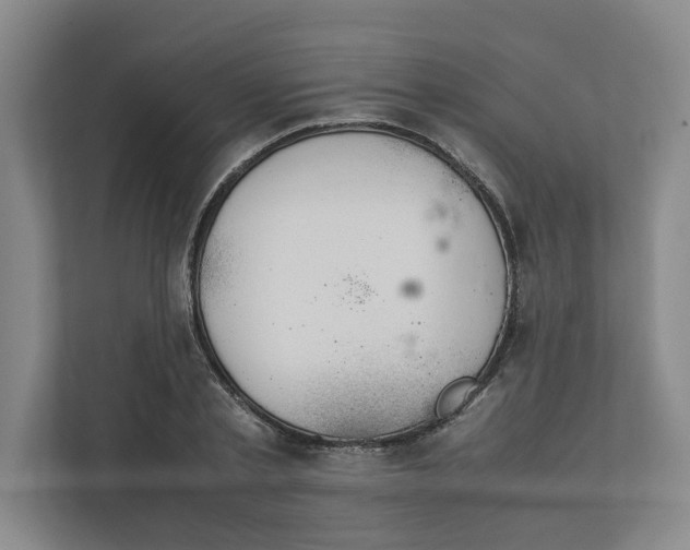 X0000112410789200909041355