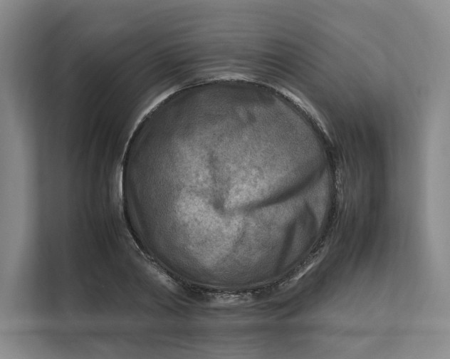 X0000112410790200909041355