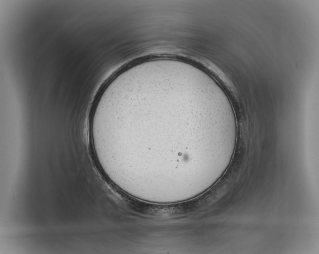 X0000112410791200909041355