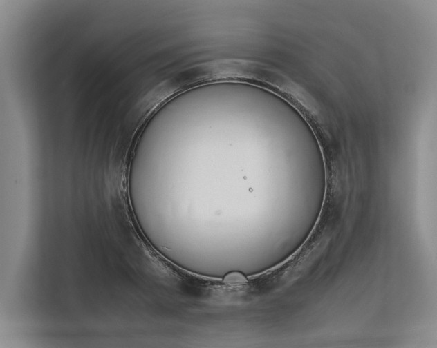 X0000112410793200909041355