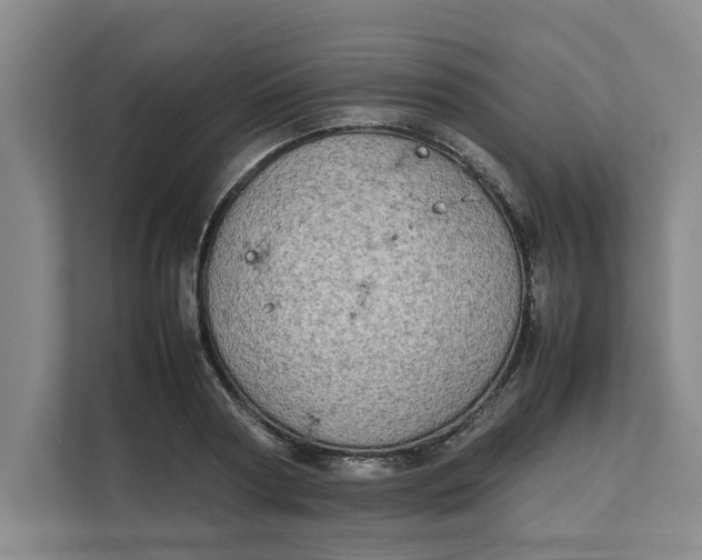 X0000112410794200909041355