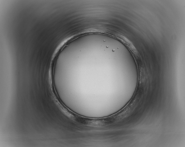 X0000112410796200909041355