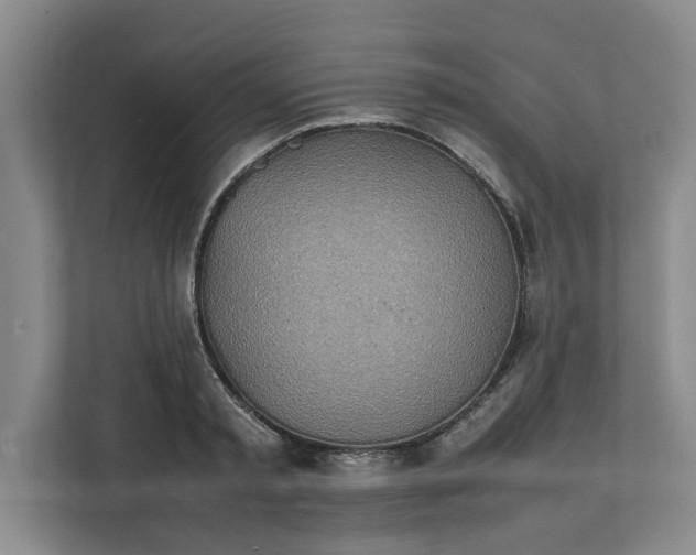 X0000112410797200909041355