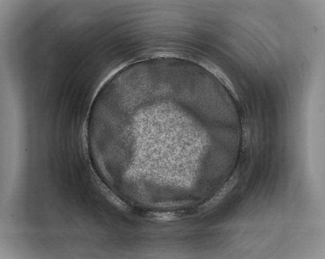 X0000112410798200909041355